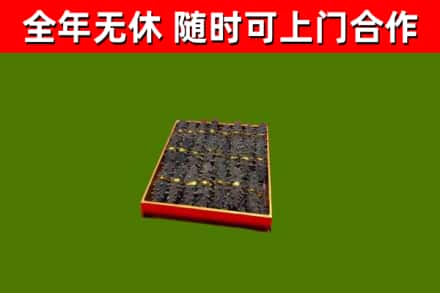 厦门回收海参